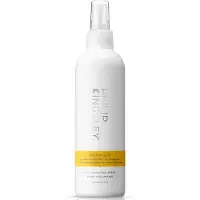 Philip Kingsley Maximizer Root Boosting Spray Volumenspray 250 ml