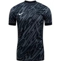 Nike Målmandstrøje Dri-FIT Gardien V - Grå/Sort/Hvid, størrelse Small