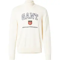 Gant Ganttil mænd. 8030224 Grafisk beige trøje (XXL), Casual, Bomuld