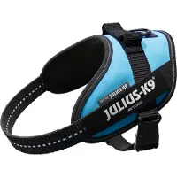 JULIUS K-9 Idc Power Mini Hundeseletøj