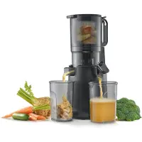Caso Slow Juicer Pro saftpresser Sort