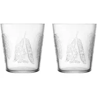 Iittala Taika Sato glas 38 cl 2-pak Klar