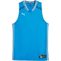 Puma Funktionsskjorte 'Team Game' blå / sort / hvid