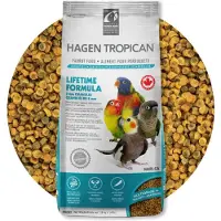 Tropican Livslang Vedligeholdelse Af Nymfer
