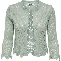JDY Cardigan 'Sun' pastelgrøn