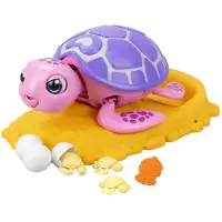 Salva Las Mascotas Skildpadden Assorteret