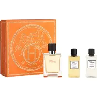 Hermès Paris Terre D'hermes e T 50 Spray Gel40 Ash40