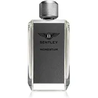 Bentley Momentum Eau de toilette 100 ml