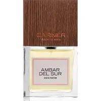 CARNER BARCELONA Ambar del Sur unisex eau de parfum 100 ml