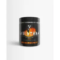 Viking Power 2 x Leviathan Hardcore PWO - - Orange