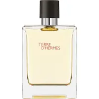 Hermès Paris Terre D'Eau De Toilette Spray 100ml