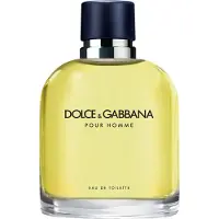 Dolce&Gabbana Pour Homme Eau de Toilette 75 ml