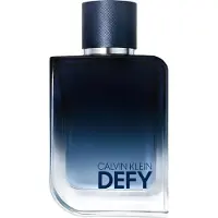 Calvin Klein Defy Eau de Parfum 100 ml