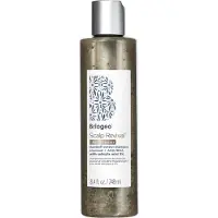 Briogeo - Scalp Revival Megastrength+ - Shampooing Antipelliculaire Charbon + Aha/bha - Scalp Revival Dandruff Relief Shampoo - For Women