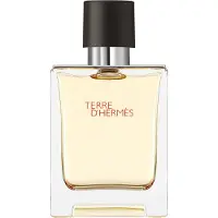 Hermès Paris Terre Pour Homme 50ml Eau De Toilette