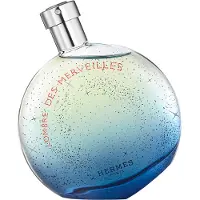 Hermès Paris Hermès L'Ombre Des Merveilles Eau De Parfum Spray 100ml