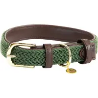 Kentucky Nylon Plaited Hundehalsbånd
