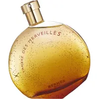 Hermès Paris HERMÈS L'Ambre des Merveilles Eau de Parfum til kvinder 100 ml