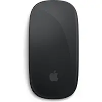 Apple Magic Mouse (USB?C) - Black Multi-Touch Surface - Mus - Sort