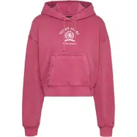 Tommy Hilfiger Dw0dw20311 Hættetrøje