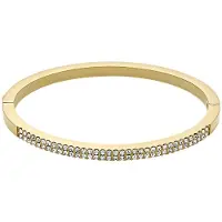 Fossil Armbånd 'Ellis' guld / transparent