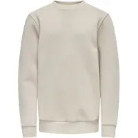 Only & Sons Junior Sweatshirt 'OSJCeres' greige