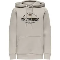 Only & Sons Junior Sweatshirt 'OSJCERES' sølvgrå / orange / sort