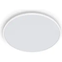 Philips Funktionel Ozziet loftslampe, 36 W, LED, Ikke-udskiftelig pære(r), 4000 K, 4100 lm, IP20, Hvid