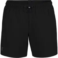 Arena Badeshorts 'EVO' sort