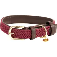Kentucky Nylon Plaited Hundehalsbånd