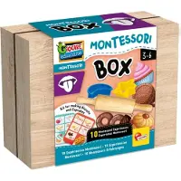 Lisciani Montessori Box SMAK