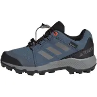 Adidas Lave sko 'GORE-TEX Hiking' marin / stone / sort