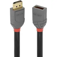 Lindy 901751418 2 M Displayport-kabel