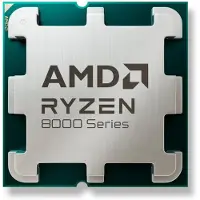AMD PC-processor 100-100001591MPK Sort