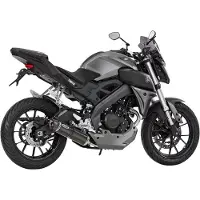 Shark Auspuff STREETGP K/A 1-1 CB MT125/YZF-R125 14-,CARBON