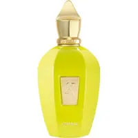 XERJOFF V Amabile Eau de parfum 100 ml