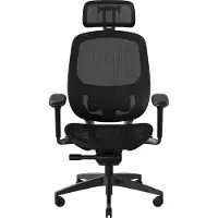 Razer Fujin Pro - Stol - armstøtter - T-formet - vippe - drejeled - netstof, metal - sort