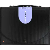 Exacompta Harmonikamappe Exactive A4 sort