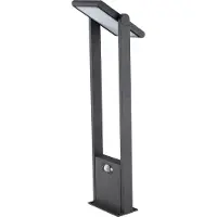 EVN PLS541502 PLS541502 Solcelle-udendørsstanderlampe med bevægelsessensor LED (RGB) LED indbygget 1.6 W Antracit