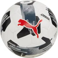 Puma fodbold Orbita 1 TB FIFA Quality Pro hvid-grå 84322 02 5