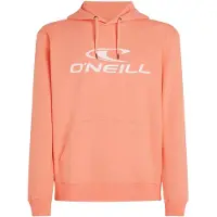 O'Neill Logo Hættetrøje