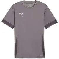 Puma Trænings T-Shirt teamGOAL - Grå/Hvid, størrelse 3XL