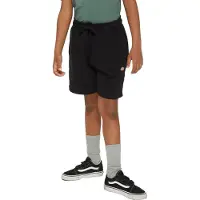 Dickies Youth Mapleton Sports Shorts
