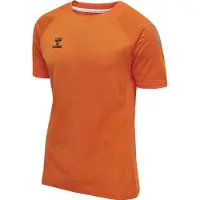 Hummel Fodboldtrøje 'Lead' mørkeorange / sort