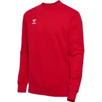 Hummel Sportsweatshirt 'Go 2.0' blodrød