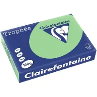 Clairefontaine Farvet papir, Trophée, A4, 160 g/m2, naturgrøn