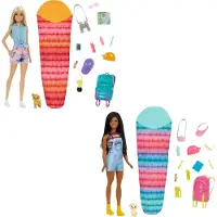 Barbie Camping doll with accessories (1 pcs) - Assorted