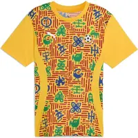 Puma Ghana 24/25 Før Kampen T-shirt Med Korte ærmer