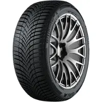Giti Winter W2