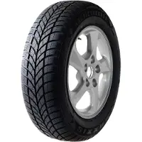 Maxxis WP-05 Arctictrekker